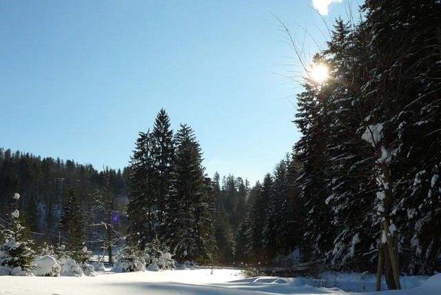 Gorski kotar
